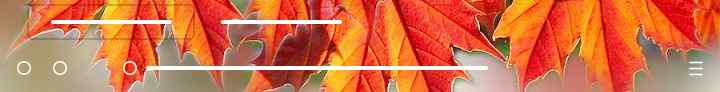Automne en couleurs - Autumn Colours